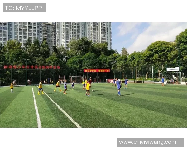 在绿茵场上挥洒汗水的瞬间踢足球的快乐与激情尽显无遗 在绿茵场上挥洒汗水的瞬间踢足球的快乐与激情尽显无遗